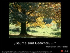 Präsentation Bäume-sind-Gedichte.pdf